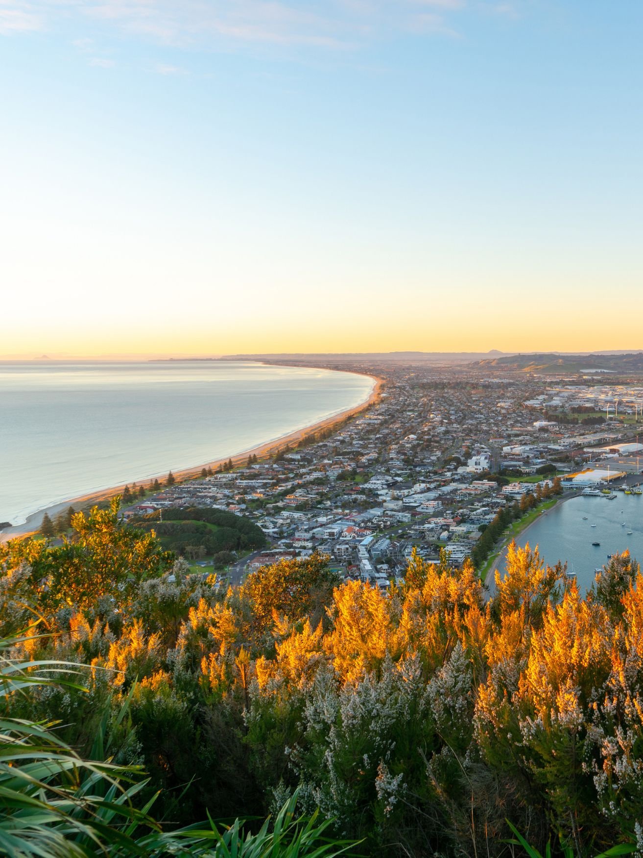 A photo of Mt Maunganui taken atop the mountain